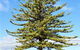 Town Centre Motel - Leeton - thumb 5