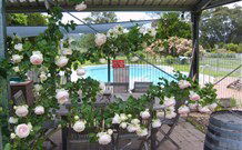 Valley View Motel Murrurundi - Murrurundi - Tourism Canberra 2