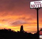 Walcha Motel - Walcha - Tourism Canberra
