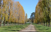 Kangadoo Cottage - Tourism Canberra 1
