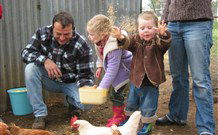 Linga Longa Farm Wingham - Tourism Canberra 0