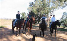 Linga Longa Farm Wingham - Tourism Canberra 1