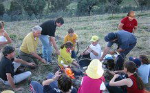 Linga Longa Farm Wingham - Tourism Canberra 3