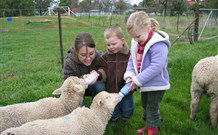 Linga Longa Farm Wingham - Tourism Canberra 2