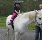 Mansfield Cottage Barrington Tops Accommodation - Tourism Canberra