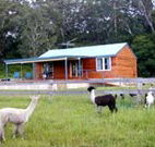 Moorallie Cottage Farm Stay - Tourism Canberra