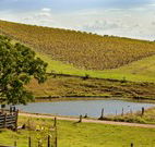Sanctuary Hill Retreat - Tourism Canberra
