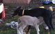 Venterfair Rural Retreat - thumb 8