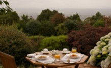 Barefoot Springs Bed And Breakfast - Tourism Canberra 0