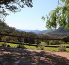 Cedar Grove - - Tourism Canberra