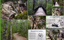 Finchley Bed And Breakfast - Tourism Canberra 7