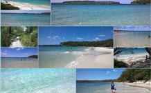 Finchley Bed And Breakfast - Tourism Canberra 6