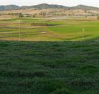 Leconfield House - Tourism Canberra