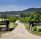 Pemberley Grange Hunter Valley Getaway - Tourism Canberra