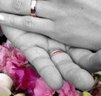 Salisbury Lodges and Araluen Restaurant - Tourism Canberra