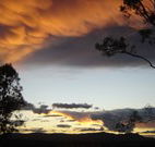 Silkwood B and B - Tourism Canberra
