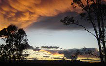 Silkwood B And B - Tourism Canberra 1