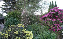 Silvermere Guesthouse - - Tourism Canberra 1