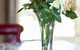 The Garden Room - thumb 5