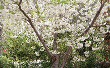 Valley Of The Waters Bed And Breakfast - Tourism Canberra 7