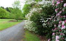 Lennox Head Beachouse YHA - Tourism Canberra 1