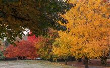 Lennox Head Beachouse YHA - Tourism Canberra 2
