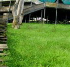 Snowy Valley Resort - Tourism Canberra