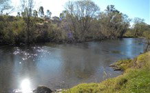 Amelies - Tourism Canberra 4