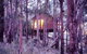 Elgetha Cottage - thumb 5