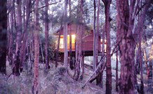 Elgetha Cottage - Tourism Canberra 5