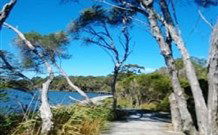 Emma's Cottage Vineyard - Tourism Canberra 5