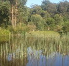 Fosterton Lodge Retreat - Tourism Canberra