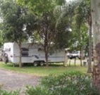 Gum Tree Heaven - Tourism Canberra