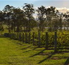 Hidden Treasure - Tourism Canberra