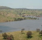 In The Heart Of Husky - Tourism Canberra