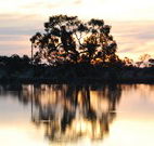 Myuna Bay Sport and Recreation Centre - Tourism Canberra