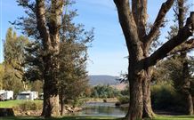 Sand Cottage - Tourism Canberra 1