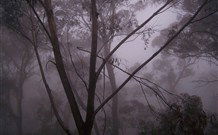 SeaChange Holiday Cottage And SeaStay Cottage - Tourism Canberra 4