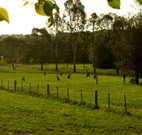 Stone Cottage Mittagong - Tourism Canberra