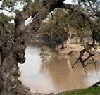 Valley View Cottage Hunter Valley - Tourism Canberra