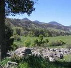 Woolshed Hill Estate - Tourism Canberra