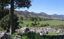 Woolshed Hill Estate - Tourism Canberra 0