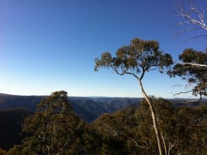 Cheyenne Wilderness Farmstay - Tourism Canberra 5