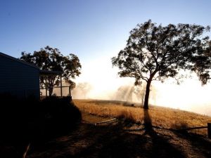 Yellowbox Country Cabins - Tourism Canberra 5