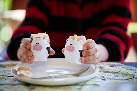 Cosy Cow Farmstay Bed And Breakfast - Tourism Canberra 0