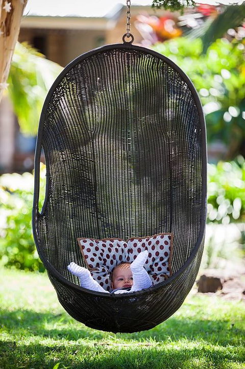 Cosy Cow Farmstay Bed And Breakfast - Tourism Canberra 5