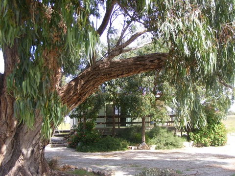 Coodlie Park - Port Kenny - Venus Bay - Tourism Canberra 4