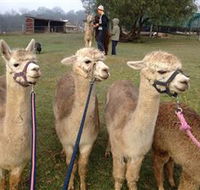 Bunyip Springs Farmstay - Tourism Canberra