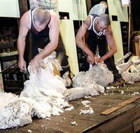 The Woolshed at Jondaryan Caravan and Camping - Tourism Canberra