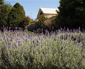 Vacy Hall Toowoomba's Grand Boutique Hotel Since 1873 - Tourism Canberra 2